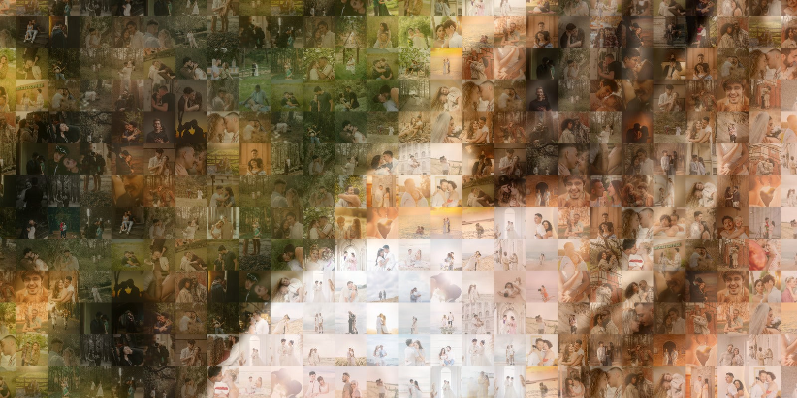 Other services — overlay tints your photos